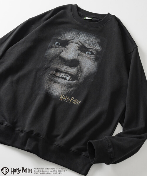 セール】Harry Potter/ハリー・ポッター グレイバック クルーネック