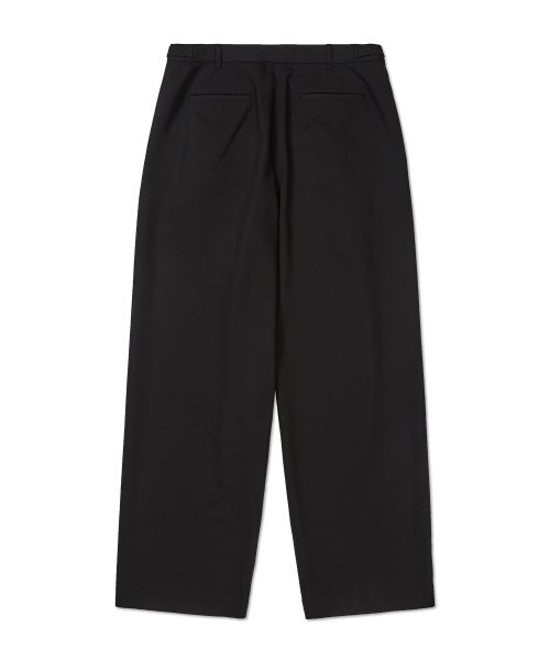 WEST GRAND BOULEVARD（ウエストグランドブルバード）の「リブレ ワイドツータックウールブレンドスラックス BLACK（スラックス・レディース・その他・MEDIUM/SMALL/LARGE）」の2枚目の写真