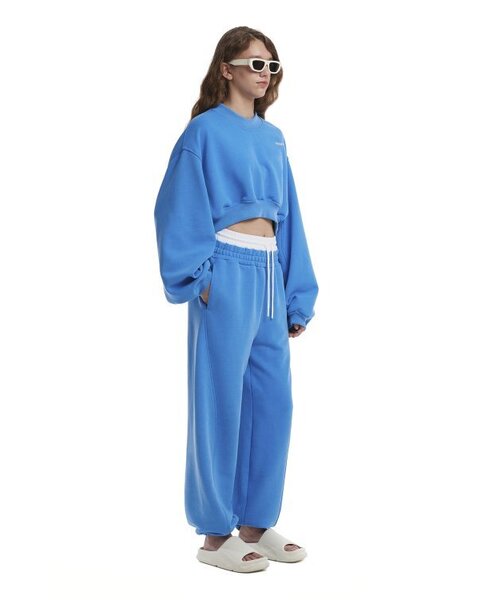 TRUNK PROJECT(トランクプロジェクト)の「Logo Cropped Sweatshirt_Blue(スウェット・レディース・ブルー・LARGE/SMALL/X-SMALL)」の3枚目の写真