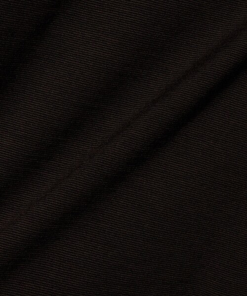 UNITED ARROWS（ユナイテッドアローズ）の「ウール マイクロボーダーTシャツ（Tシャツ/カットソー・メンズ・ダークブラウン/ブラック・S/L/M/XL）」の6枚目の写真