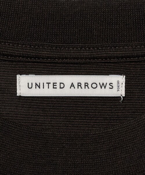 UNITED ARROWS（ユナイテッドアローズ）の「ウール マイクロボーダーTシャツ（Tシャツ/カットソー・メンズ・ダークブラウン/ブラック・S/L/M/XL）」の9枚目の写真