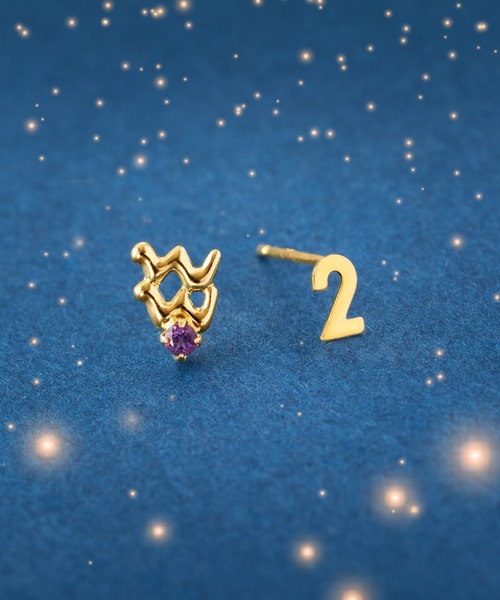 Jewel closet by L&Co.（ジュエルクローゼットバイエルアンドコー）の「K18 星座/ホロスコープ ピアス（ピアス（両耳用）・レディース・その他5/その他3/その他2/その他1/その他10/その他8/その他6/その他12/その他9/その他7/その他4/その他11・FREE）」の3枚目の写真