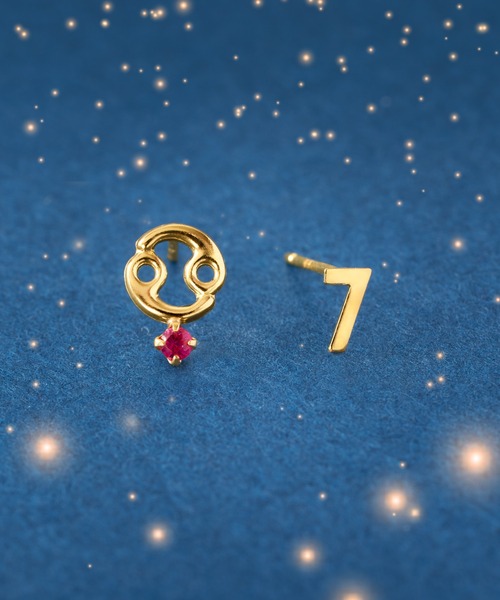 Jewel closet by L&Co.（ジュエルクローゼットバイエルアンドコー）の「K18 星座/ホロスコープ ピアス（ピアス（両耳用）・レディース・その他5/その他3/その他2/その他1/その他10/その他8/その他6/その他12/その他9/その他7/その他4/その他11・FREE）」の8枚目の写真