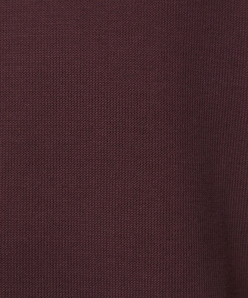 Steven Alan(スティーブンアラン)の「<Steven Alan> ダブルフェイス モックネック カットソー(Tシャツ/カットソー・メンズ・ワインレッド/ブラック・M/S/XL/L)」の3枚目の写真