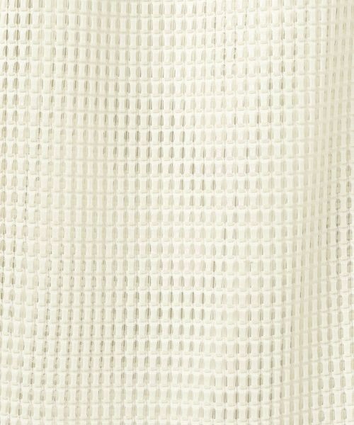 JEANASIS（ジーナシス）の「グロッシーハクプリントメッシュパンツ/965902（その他パンツ・レディース・ブラック系その他/ホワイト系その他/ブラウン系その他・FREE）」の15枚目の写真