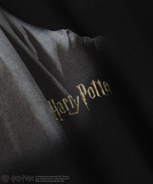 FREAK'S STORE(フリークスストア)の「Harry Potter/ハリー・ポッター ヴォルデモート卿 クルーネックスウェット(スウェット・メンズ・ブラック/ライトグレー・LARGE/MEDIUM)」の6枚目の写真