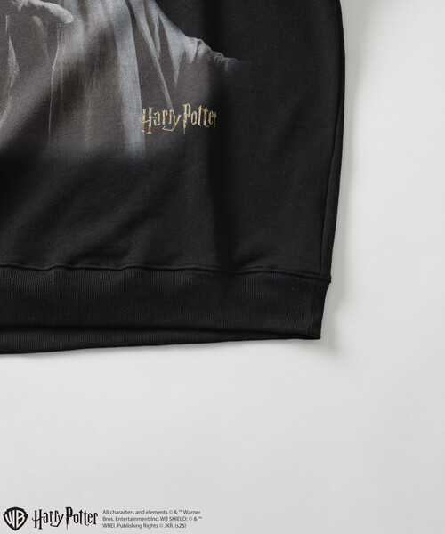 FREAK'S STORE(フリークスストア)の「Harry Potter/ハリー・ポッター ヴォルデモート卿 クルーネックスウェット(スウェット・メンズ・ブラック/ライトグレー・LARGE/MEDIUM)」の9枚目の写真