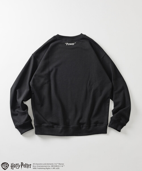 FREAK'S STORE(フリークスストア)の「Harry Potter/ハリー・ポッター ヴォルデモート卿 クルーネックスウェット(スウェット・メンズ・ブラック/ライトグレー・LARGE/MEDIUM)」の12枚目の写真