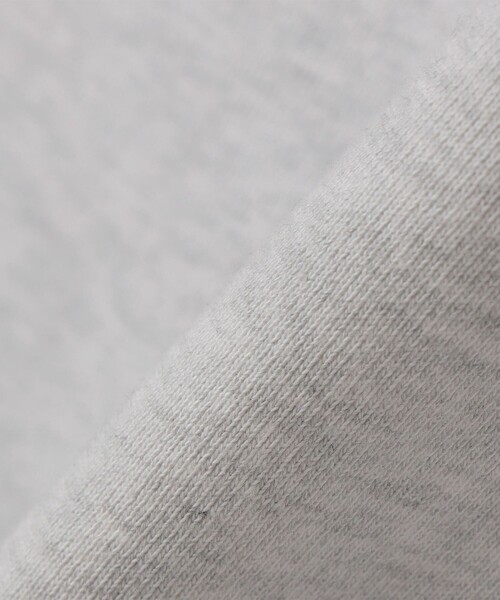 Russell Athletic(ラッセルアスレティック)の「RUSSELL ATHLETIC: PRO COTTON ヘビーウェイトスウェットパーカー(スウェット・メンズ・ライトグレー/ネイビー/ブラック・MEDIUM/LARGE)」の9枚目の写真
