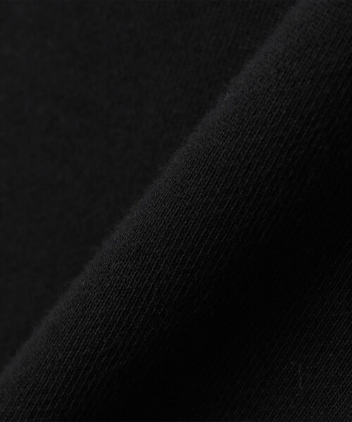 Russell Athletic(ラッセルアスレティック)の「RUSSELL ATHLETIC: PRO COTTON ヘビーウェイトスウェットパーカー(スウェット・メンズ・ライトグレー/ネイビー/ブラック・MEDIUM/LARGE)」の10枚目の写真