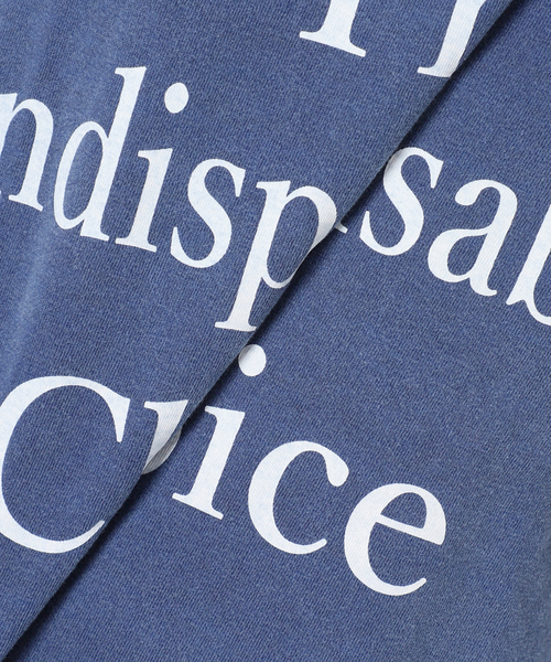 journal standard L'essage(ジャーナルスタンダードレサージュ)の「《追加》【THE INDIS~】ピグメントTシャツ(Tシャツ/カットソー・レディース・ブルー系その他/ホワイト/ブラウン・FREE)」の5枚目の写真