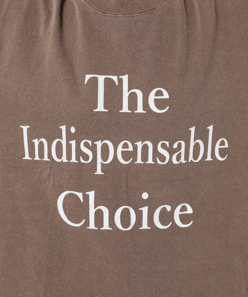 journal standard L'essage(ジャーナルスタンダードレサージュ)の「《追加》【THE INDIS~】ピグメントTシャツ(Tシャツ/カットソー・レディース・ブルー系その他/ホワイト/ブラウン・FREE)」の10枚目の写真