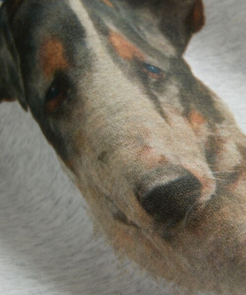 FREAK'S STORE（フリークスストア）の「Dog Smooth Fox Terrier Art Sweat Shirt/スムース・フォックス・テリア ドッグプリントスウェット(犬スウェット)（スウェット・レディース・ホワイト/ライトグレー・ﾌﾘ-）」の11枚目の写真