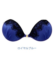 NuBra(k[u)̃k[u PD NX Nubra pebh(̑A_[EFA/Ci[)