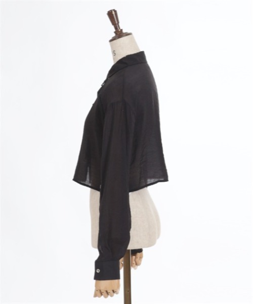 axes femme POETIQUE(アクシーズファムポエティック)の「チャイナボタンシアーシャツ(シャツ/ブラウス・レディース・キナリ/ブラック/サックスブルー・MEDIUM)」の19枚目の写真