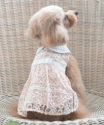 One Octave（ワンオクターヴ）の「One Octave/丸襟レースワンピース（ペットウェア）」