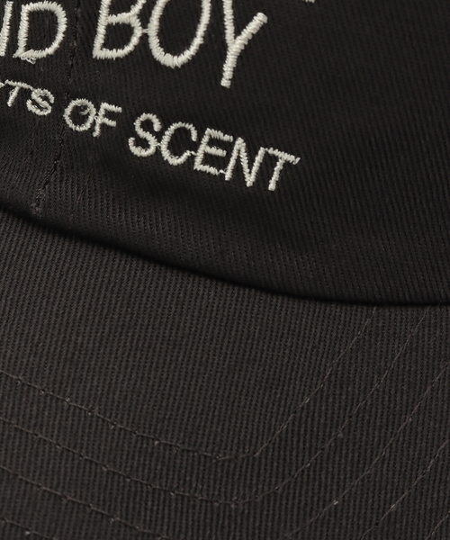 JOURNAL STANDARD（ジャーナルスタンダード）の「ツイル キャップ（キャップ・レディース・ブラック系その他/ホワイト/グリーン/ネイビー・FREE）」の6枚目の写真