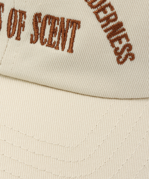 JOURNAL STANDARD（ジャーナルスタンダード）の「ツイル キャップ（キャップ・レディース・ブラック系その他/ホワイト/グリーン/ネイビー・FREE）」の5枚目の写真