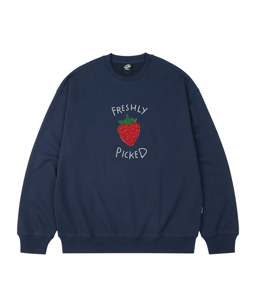 WILDROCK(ワイルドロック)の「FRESHLY PICKED オーバーサイズ スウェット_8 COL(スウェット・レディース・アイボリー/ブラック/ベージュ/チャコール/ダークグレー/ネイビー/ピンク/ブルー・SMALL/MEDIUM/LARGE)」の6枚目の写真