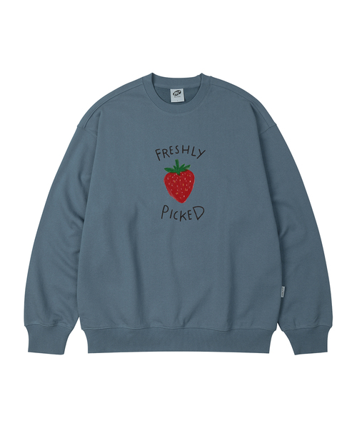 WILDROCK(ワイルドロック)の「FRESHLY PICKED オーバーサイズ スウェット_8 COL(スウェット・レディース・アイボリー/ブラック/ベージュ/チャコール/ダークグレー/ネイビー/ピンク/ブルー・SMALL/MEDIUM/LARGE)」の7枚目の写真