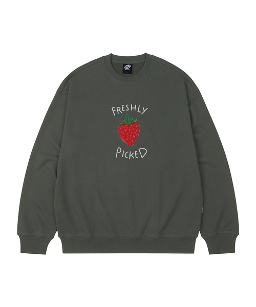 WILDROCK(ワイルドロック)の「FRESHLY PICKED オーバーサイズ スウェット_8 COL(スウェット・レディース・アイボリー/ブラック/ベージュ/チャコール/ダークグレー/ネイビー/ピンク/ブルー・SMALL/MEDIUM/LARGE)」の5枚目の写真