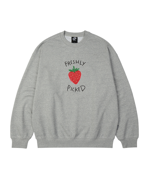 WILDROCK(ワイルドロック)の「FRESHLY PICKED オーバーサイズ スウェット_8 COL(スウェット・レディース・アイボリー/ブラック/ベージュ/チャコール/ダークグレー/ネイビー/ピンク/ブルー・SMALL/MEDIUM/LARGE)」の4枚目の写真