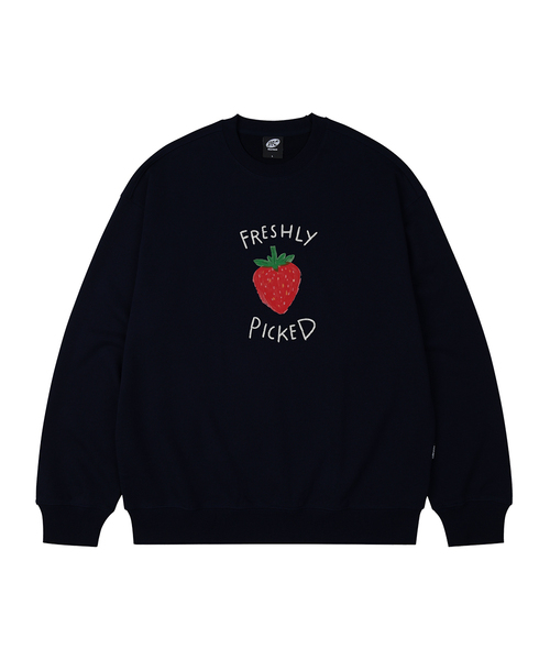 WILDROCK(ワイルドロック)の「FRESHLY PICKED オーバーサイズ スウェット_8 COL(スウェット・レディース・アイボリー/ブラック/ベージュ/チャコール/ダークグレー/ネイビー/ピンク/ブルー・SMALL/MEDIUM/LARGE)」の3枚目の写真