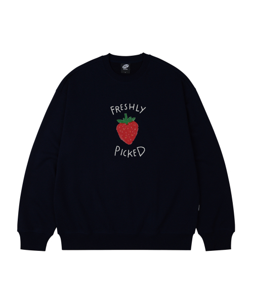 WILDROCK(ワイルドロック)の「FRESHLY PICKED オーバーサイズ スウェット_8 COL(スウェット・レディース・アイボリー/ブラック/ベージュ/チャコール/ダークグレー/ネイビー/ピンク/ブルー・SMALL/MEDIUM/LARGE)」の10枚目の写真