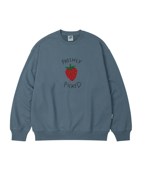 WILDROCK(ワイルドロック)の「FRESHLY PICKED オーバーサイズ スウェット_8 COL(スウェット・レディース・アイボリー/ブラック/ベージュ/チャコール/ダークグレー/ネイビー/ピンク/ブルー・SMALL/MEDIUM/LARGE)」の14枚目の写真