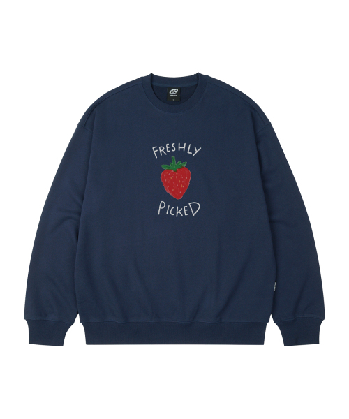 WILDROCK(ワイルドロック)の「FRESHLY PICKED オーバーサイズ スウェット_8 COL(スウェット・レディース・アイボリー/ブラック/ベージュ/チャコール/ダークグレー/ネイビー/ピンク/ブルー・SMALL/MEDIUM/LARGE)」の15枚目の写真