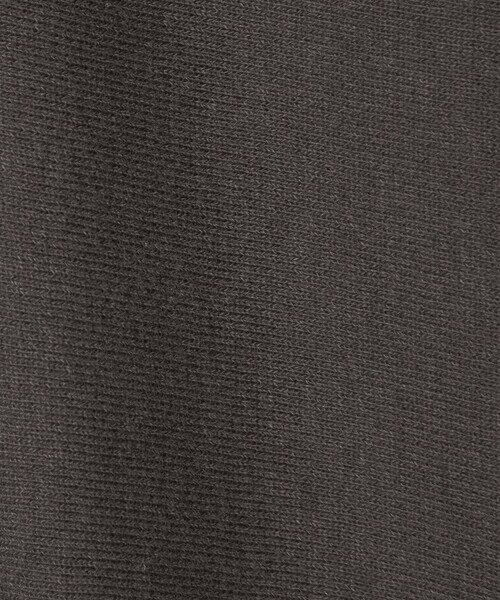Steven Alan(スティーブンアラン)の「<Steven Alan> C/R ウラケ ジップ スタンドネック スウェット(スウェット・メンズ・パープル/ダークグレー/オリーブ・XL/L/M/S)」の18枚目の写真