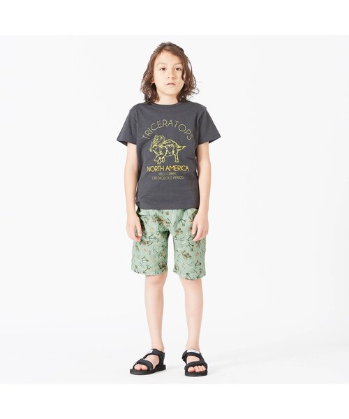 BREEZE（ブリーズ）の「もっとスズシー3柄パンツ 5分丈（その他パンツ・キッズ・ベージュ/ミント/その他2・120/130/140/100/110/150/90）」の5枚目の写真