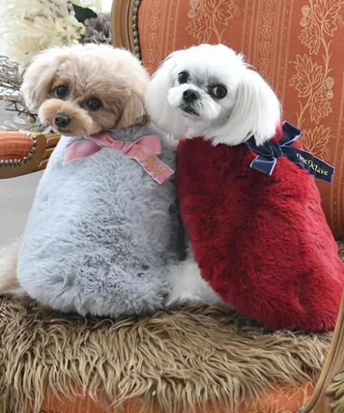 One Octave(ワンオクターヴ)の「One Octave/リボン付ケープコート(ペットウェア・レディース・レッド/グレー・2XS/XS/S/M/L/2L/2M)」の3枚目の写真