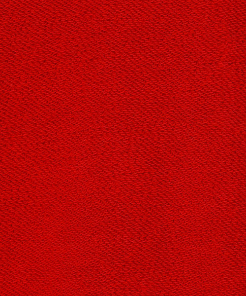 AMERICANA（アメリカーナ）の「【AMERICANA×ORIGINAL Charcoal／アメリカーナ×オリジナル チャコール】Leopards Snap プルオーバースウェット/ユニセックス（スウェット・メンズ・ネイビー/レッド・L/M）」の16枚目の写真