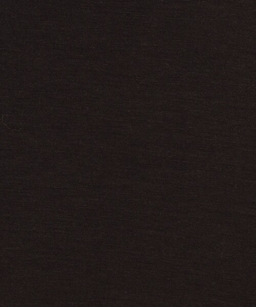 GALERIE VIE(ギャルリー ヴィー)の「シーウィードレーヨン ドルマンスリーブカットソー(Tシャツ/カットソー・レディース・チャコールグレー/ライトブルー/ライトベージュ/ホワイト・FREE)」の15枚目の写真