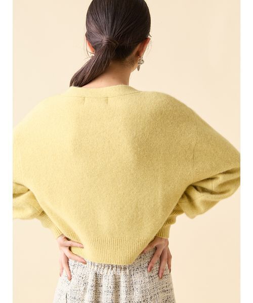 LILY BROWN（リリーブラウン）の「LBロゴフォックスニットカーデ（カーディガン/ボレロ・レディース・ネイビー/イエロー/グレー/アイボリー・F）」の10枚目の写真