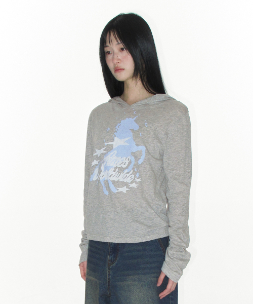 AMESWORLDWIDE(アメスワールドワイド)の「UNICORN SHEER HOODIE LS TEE LIGHT GREY(Tシャツ/カットソー・レディース・その他・FREE)」の2枚目の写真