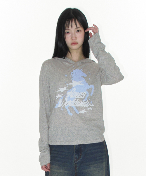 AMESWORLDWIDE(アメスワールドワイド)の「UNICORN SHEER HOODIE LS TEE LIGHT GREY(Tシャツ/カットソー・レディース・その他・FREE)」の3枚目の写真