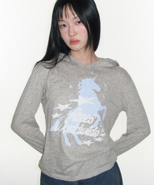AMESWORLDWIDE(アメスワールドワイド)の「UNICORN SHEER HOODIE LS TEE LIGHT GREY(Tシャツ/カットソー・レディース・その他・FREE)」の4枚目の写真