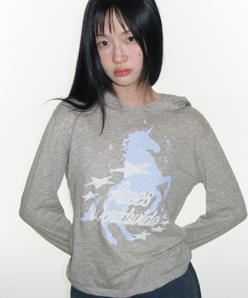 AMESWORLDWIDE(アメスワールドワイド)の「UNICORN SHEER HOODIE LS TEE LIGHT GREY(Tシャツ/カットソー・レディース・その他・FREE)」の5枚目の写真