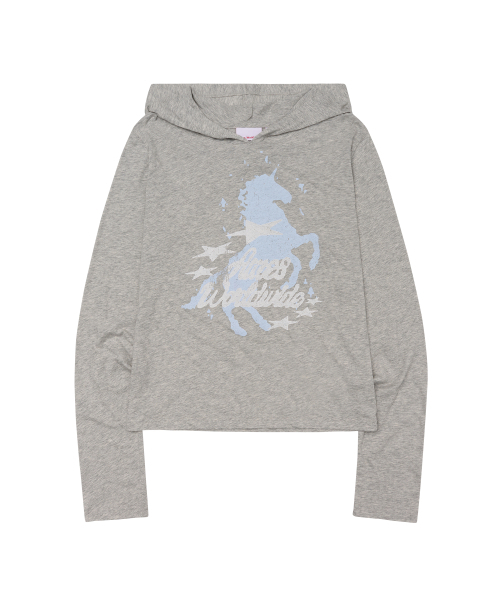 AMESWORLDWIDE(アメスワールドワイド)の「UNICORN SHEER HOODIE LS TEE LIGHT GREY(Tシャツ/カットソー・レディース・その他・FREE)」の8枚目の写真