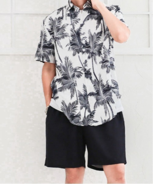 ARCHIVER(アーカイバ)の「【Bl】【2点セット】アロハシャツ&ハーフパンツ(その他トップス・メンズ・F/J/E/B/D/G/I/H/C/A・X-LARGE/LARGE/MEDIUM)」の10枚目の写真