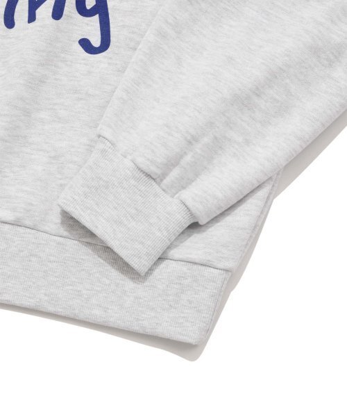 Retriever Club（レトリーバークラブ）の「COLOR HOWLING CREWNECK [MELANGE GRAY]（スウェット・レディース・その他・LARGE/X-LARGE/MEDIUM）」の6枚目の写真