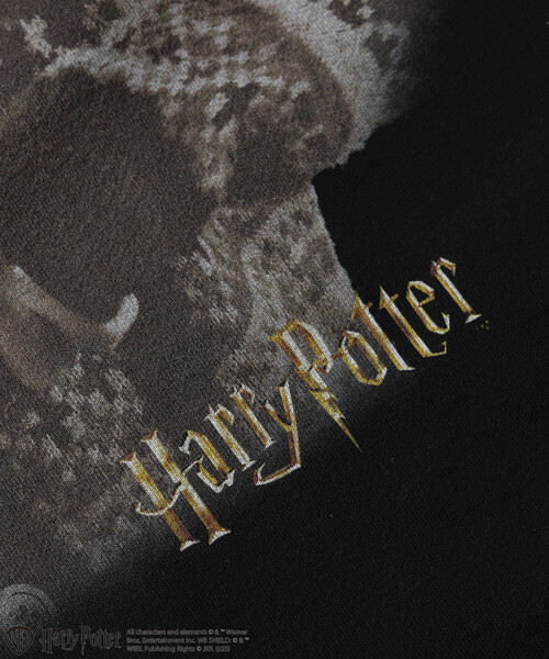 FREAK'S STORE（フリークスストア）の「Harry Potter/ハリー・ポッター ネビル・ロングボトム バックプリント クルーネックスウェット（スウェット・メンズ・ブラック/ライトグレー・MEDIUM/LARGE）」の11枚目の写真