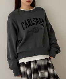 NAVY（ネイビー）の「NAVY カレッジロゴダブルジャガード スウェットライクニット（ニット/セーター）」