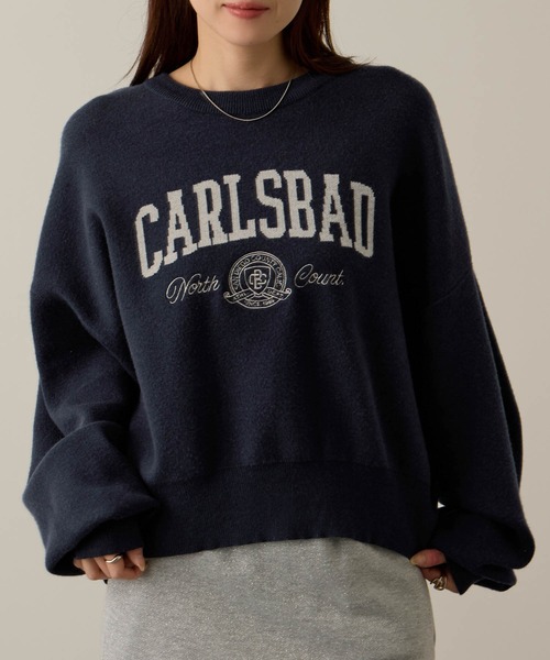 NAVY（ネイビー）の「NAVY カレッジロゴダブルジャガード スウェットライクニット（ニット/セーター・レディース・ネイビー/アイボリー/杢グレー/チャコールグレー・M/L）」の4枚目の写真