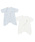 petit main�i�v�e�B�}�C���j�́u�yTeddyBear�z�R���r�����i�����j�v�b�u���[