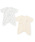petit main�i�v�e�B�}�C���j�́u�yTeddyBear�z�R���r�����i�����j�v�b�N���[��