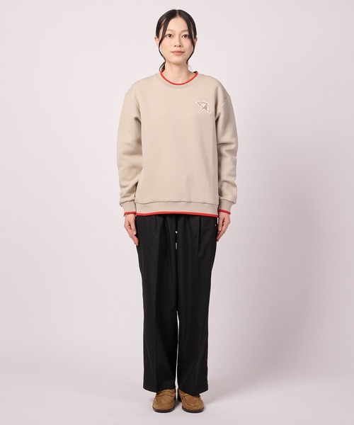 Arnold Palmer(アーノルドパーマー)の「ダンボールニット シェア スウェットプルオーバー(ニット/セーター・レディース・チャコールグレー/グレイッシュベージュ/ネイビー・LL/L/M/S/XS)」の14枚目の写真