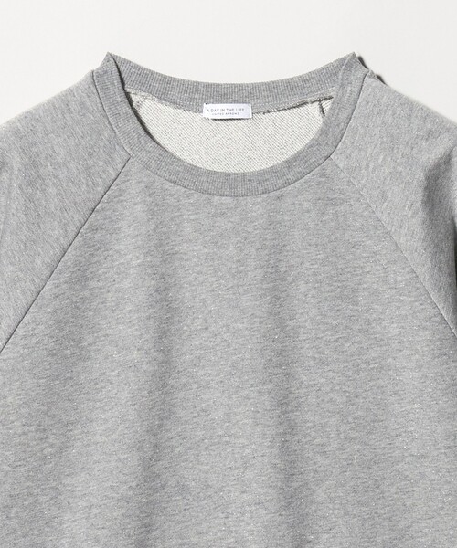 A DAY IN THE LIFE UNITED ARROWS(アデイインザライフユナイテッドアローズ)の「ラメ ウラケ ハーフスリーブスウェット <A DAY IN THE LIFE>(スウェット・レディース・ライトピンク/ナチュラル/グレー系・FREE)」の14枚目の写真